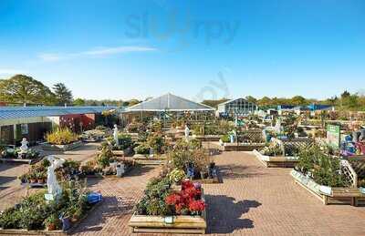 The Terrace Restaurant