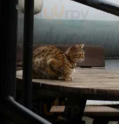 The Pier Pub & Restaurant