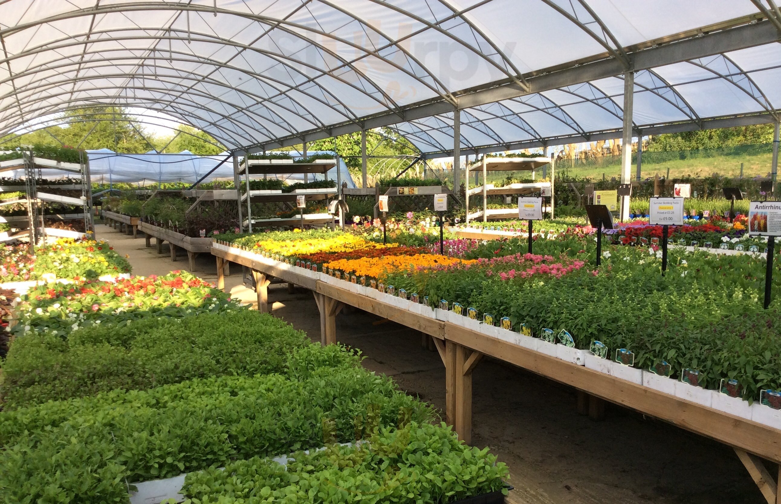 Avalon Garden Centre