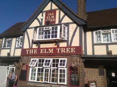 The Elm Tree