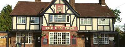 The Elm Tree