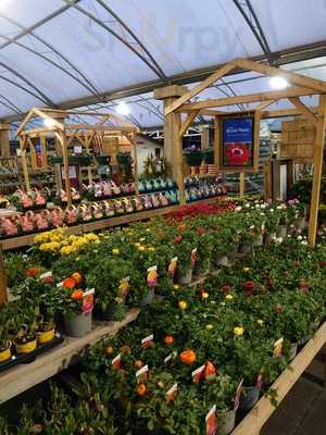 Badshot Lea Cafe Bar