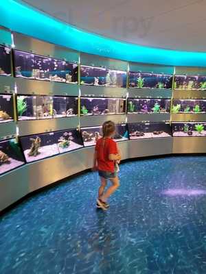 Badshot Lea Cafe Bar