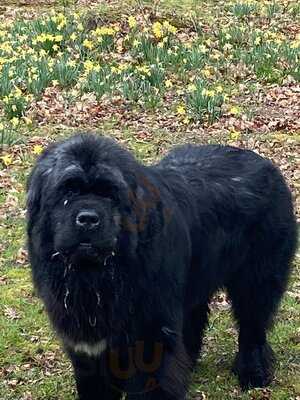 The Old Bell & Crown