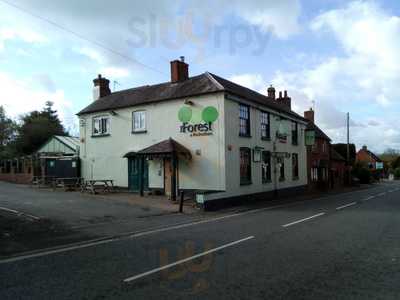 The Forest At Feckenham