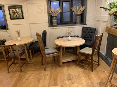 The Forest At Feckenham