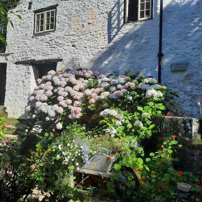Hele Corn Mill & Tea Room