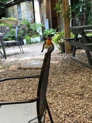 Hele Corn Mill & Tea Room