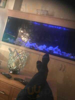 The Tap Room At Hilden Brewery