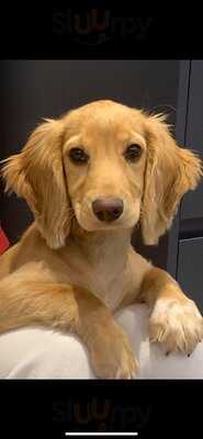 Beanstalk Tea Garden