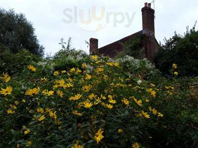 Beanstalk Tea Garden