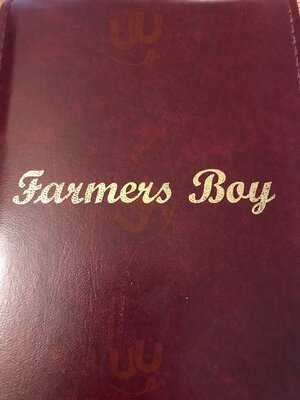 The Farmer's Boy