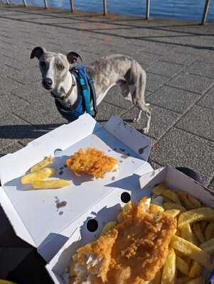 Oban Fish And Chip Shop