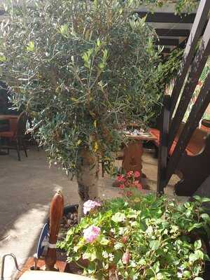 The Stilton Cheese Inn