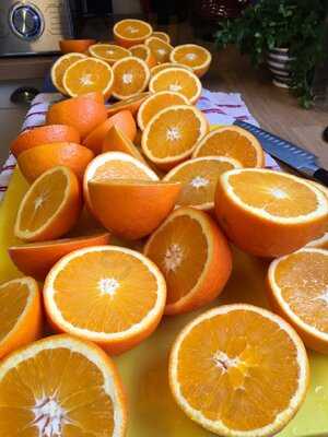 The Great British Tea Shop (skippers)