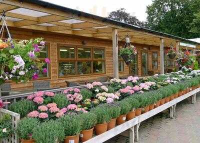 Scotsdales Sunflower Cafe Fordham