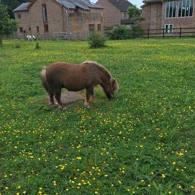 Fairfield Animal Centre