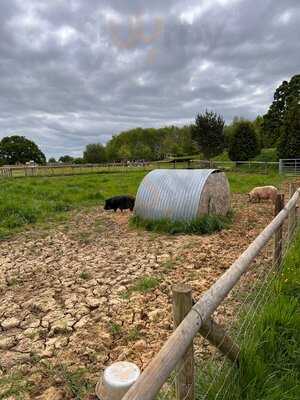 Fairfield Animal Centre