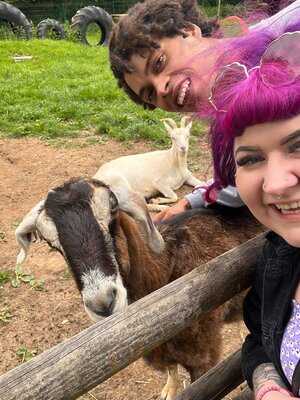 Fairfield Animal Centre