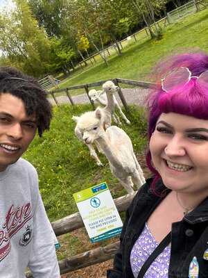 Fairfield Animal Centre