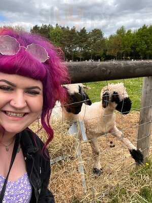 Fairfield Animal Centre