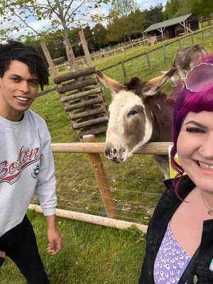 Fairfield Animal Centre