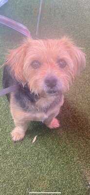 S&p Fish Shop And Cafe