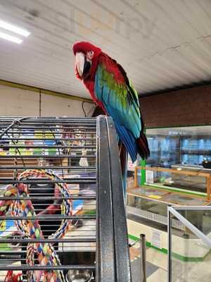 The Baytree Coffee Lounge