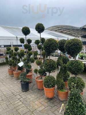 Restaurant @ Poplars