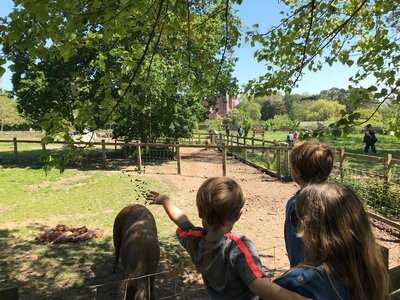 Quarr Abbey Tea And Farm Shop