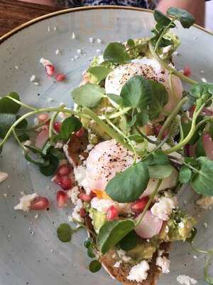 Wild Herb At The Field Kitchen