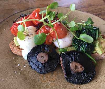 Wild Herb At The Field Kitchen