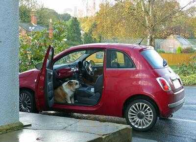 Puckpool Tea Gardens