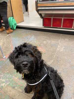 Tenby Indoor Market Cafe