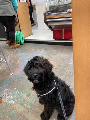 Tenby Indoor Market Cafe