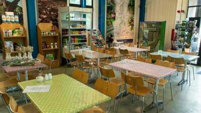 The Tea Junction