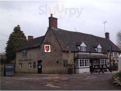 Squirrel Licker's Arms