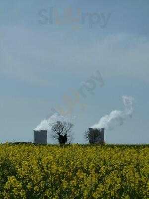 Squirrel Licker's Arms