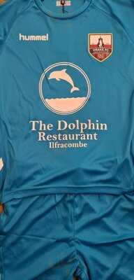The Dolphin