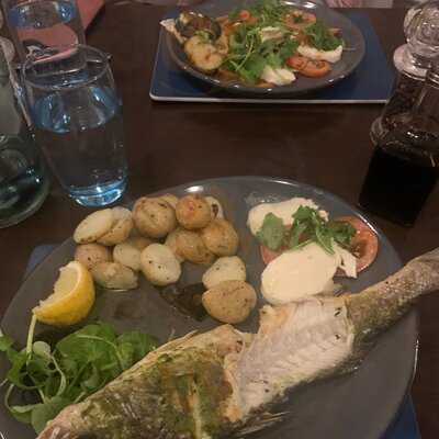 The Cow At The Airport