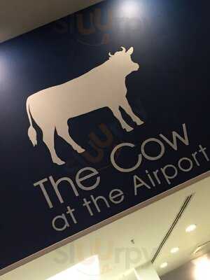 The Cow At The Airport