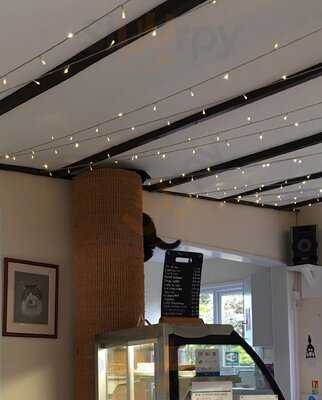 Cool For Cats Cafe