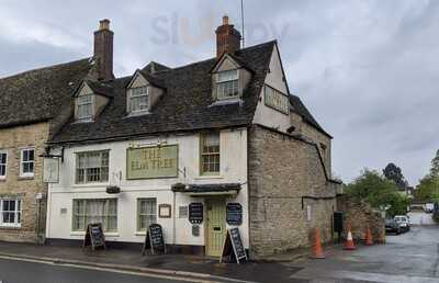 The Elm Tree
