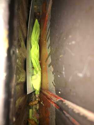 The Rising Sun Harvester