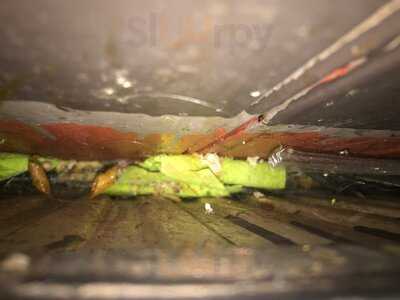 The Rising Sun Harvester