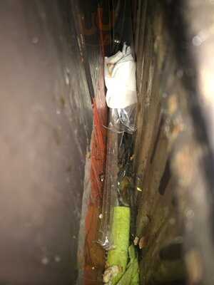 The Rising Sun Harvester