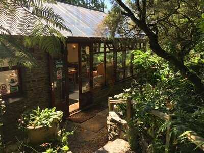 Hill House Nursery Tea Rooms