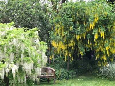 Hill House Nursery Tea Rooms