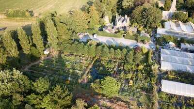 Hill House Nursery Tea Rooms