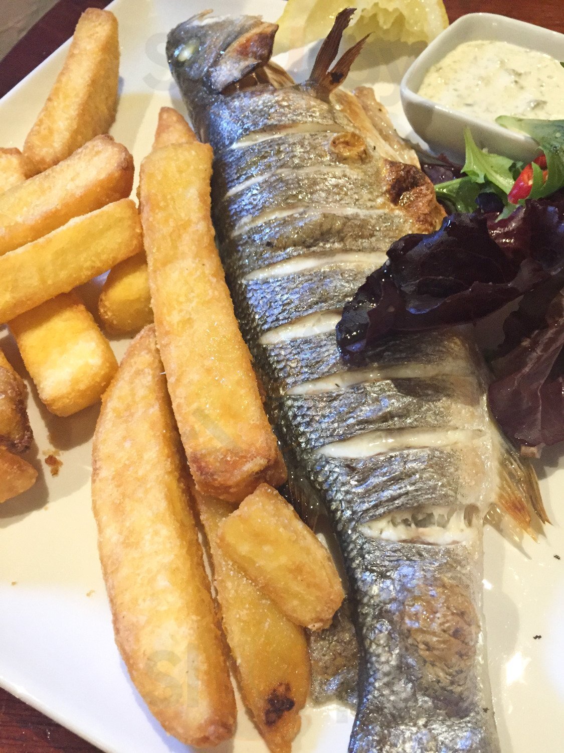 Harbour Bar